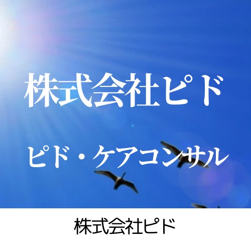 株式会社ピド